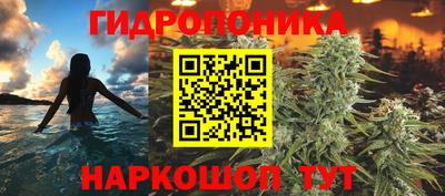 МДПВ Новодвинск