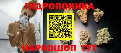 тгк Новокубанск
