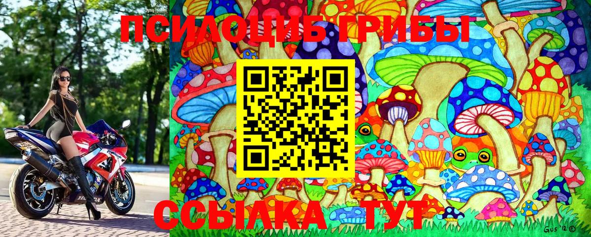 Псилоцибиновые грибы MAGIC MUSHROOMS  Галлюциногенные грибы MAGIC MUSHROOMS  Сорочинск  Вход с VPN 