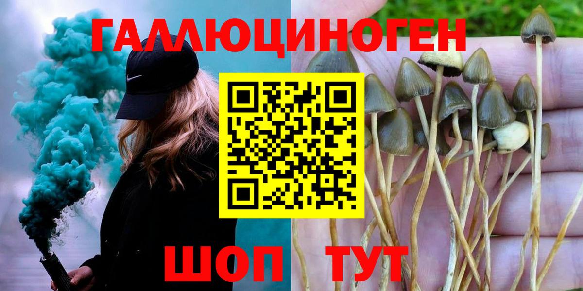 Псилоцибиновые грибы MAGIC MUSHROOMS Сорочинск